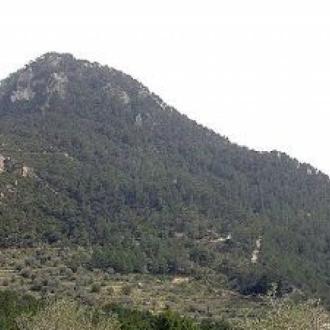 Papanga Mountain & Budharaja top view