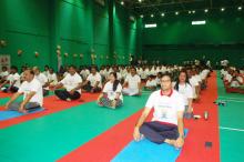 District Level International Yoga Day-2024